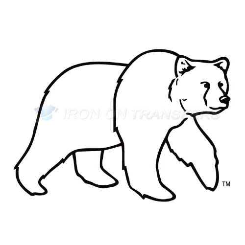 Montana Grizzlies Iron-on Stickers (Heat Transfers)NO.5173